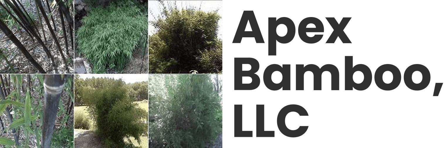 Apex Bamboo, LLC